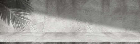 Concept of leaf shadow and light on gray cement surface. Cement roomの写真素材