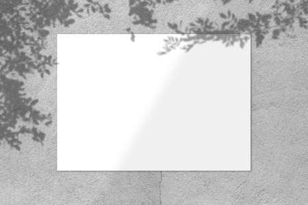 Blank white square poster mockup with light shadow on gray concrete wall background., top view.の写真素材
