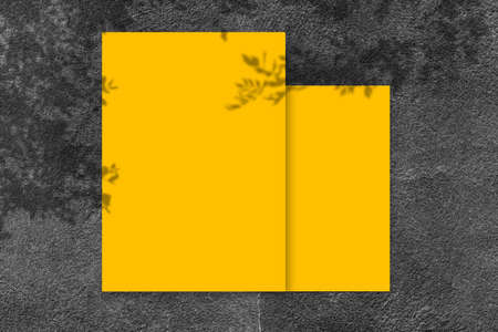 Empty yellow square poster mockup with light shadow on black concrete wall background. top view.の写真素材
