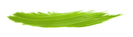 Lime green brush isolated on white background. lime green brush.の写真素材