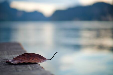 Dry brown leave on the wood plate near river during the sun is setting down.の写真素材