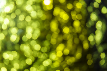Abstract colorful defocused bokeh ,created light in room bokeh on backgroundの写真素材