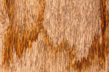 Old wood background texture,Pattern on the wood occur naturally.の写真素材