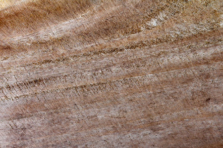 Old wood background texture,Pattern on the wood occur naturally.の写真素材