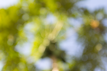 Abstract colorful defocused bokeh ,These light of bokeh occurs naturally  on background.の写真素材