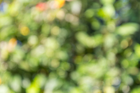 Abstract colorful defocused bokeh ,These light of bokeh occurs naturally  on background.の写真素材