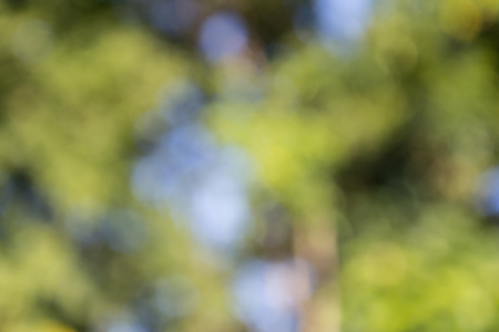 Abstract colorful defocused bokeh ,These light of bokeh occurs naturally  on background.の写真素材