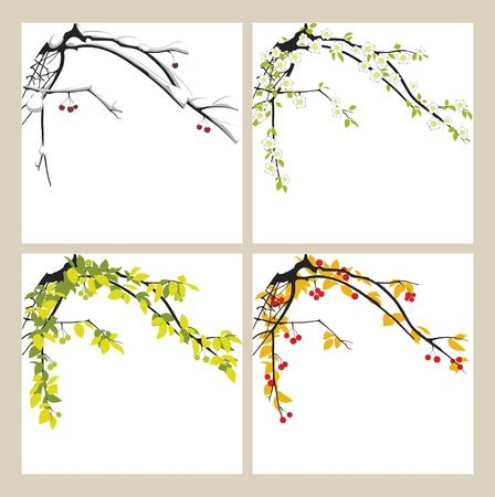 Apple-tree in the winter, in the spring, in the summer and in the autumn.のイラスト素材