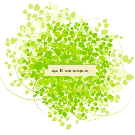 Spring background with leaf. のイラスト素材