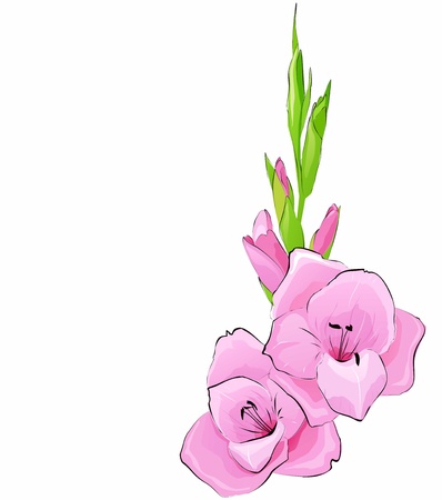 Backdrop with a pink flowerのイラスト素材