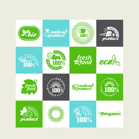 Set of elements for design - ecology, eco-friendly natural products and food. A vector.のイラスト素材