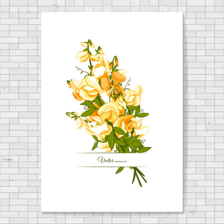 Flowers bouquet - Summer background with Sweet pea (Lathyrus odoratus). Hand drawn vector illustration.のイラスト素材