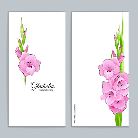 Flowers - Summer background with pink gladiolus. Hand drawn vector illustration.のイラスト素材