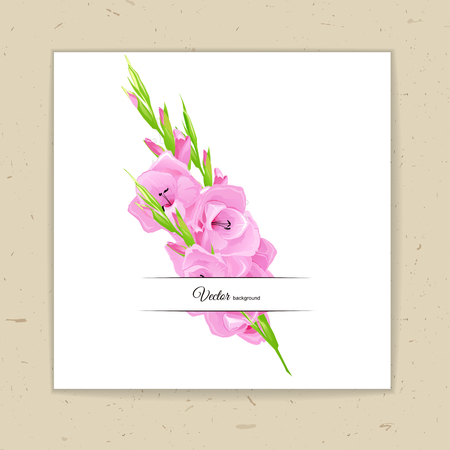 Flowers bouquet - Summer background with pink gladiolus. Hand drawn vector illustration.のイラスト素材