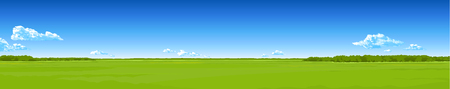 Panorama - the summer field with a green grass, the blue sky, clouds. Vector drawing.のイラスト素材