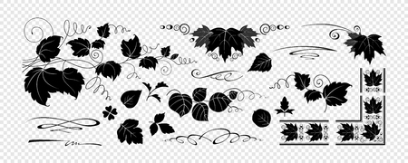 Beautiful leaves and branches. Collection of elements for design. Eps10 vector isolated set.のイラスト素材