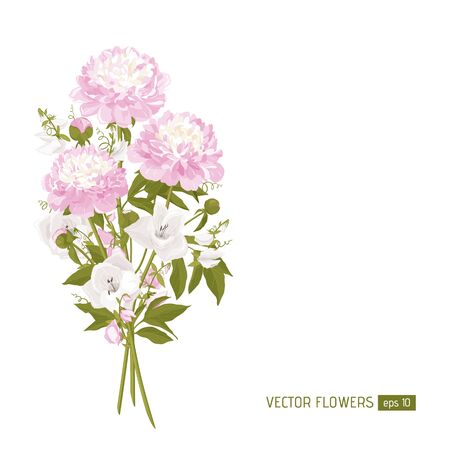 Peonies, lilies. Floral compositions with flowers, leaves. Can be used as greeting card, posters, banners and other festive and summer background. Vector illustration.のイラスト素材