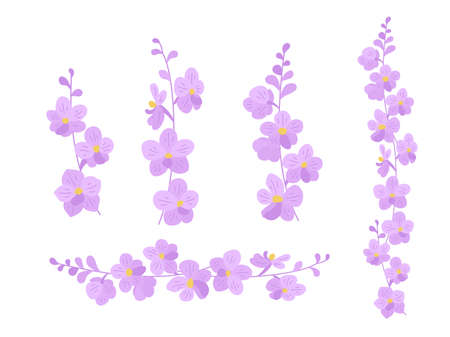 Set with flower sprigs on a white background. Delicate orchid flowers (Vascostylis) for your elegant design of cards, greetings, invitations and the like. Flat cartoon vector illustration.のイラスト素材