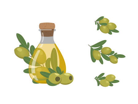 Natural healthy product for healthy food preparation. Set - flat illustration of olive oil in a bottle and olive sprigs. Vector illustration on white background.のイラスト素材