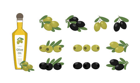 Set - flat illustration of olive oil in a bottle and olive sprigs. Vector illustration on white background.のイラスト素材