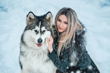beautiful woman in a fur coat walks in the winter snow-covered wood, lady and a huge fluffy husky walk in nature in December in anticipation of Christmas, luxury dog-wolf, fashionable toningの写真素材