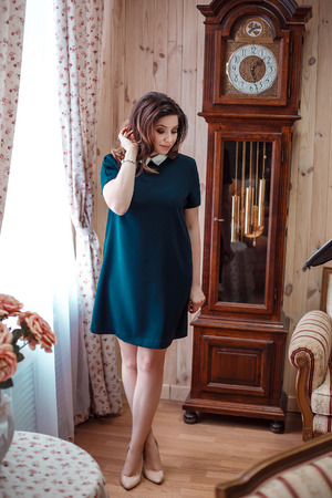 beautiful girl in a luxurious dress in anticipation of New Year's party , girl smiling , fashionable toningの写真素材