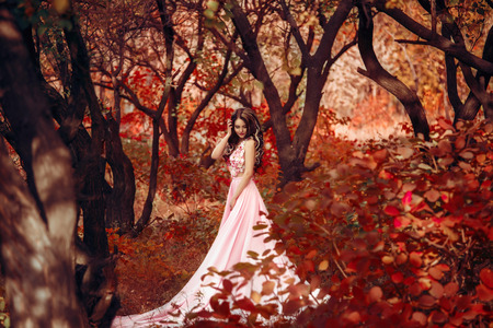 Lady in a luxury lush pink pastel dress   near the tree,fantastic shot,fairytale princess is walking in the autumn forest,fashionable toning,creative computer colorsの写真素材