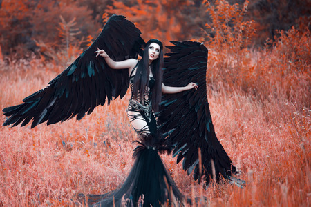 Black Angel. Pretty girl-demon with black wings. An image for Halloween. Image of an old book of fairy tales. Fashionable toningの写真素材