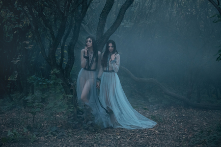The girls are crying. Young ladies in vintage dresses walk through the woods in search of victim. Photoshoot in the style of Horror. Mystical photo. Fashionable toning.Creative color.の写真素材