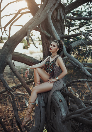 Wild princess on the background of a dry tree. The girl in a luxurious dress with ethnic motives. Creative colorsの写真素材