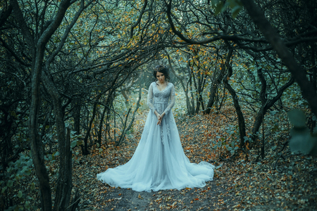 A brunette girl, with a royal hairdo in a luxurious, silver dress. The background is a grim autumn. Artistic Photographyの写真素材