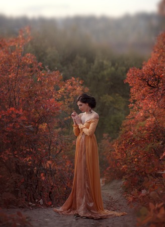 The princess in a yellow vintage dress in the Renaissance is walking along the picturesque autumn hills at dusk. Photo of a brunette girl with elegantly assembled hairdo. Artistic Photography.の写真素材
