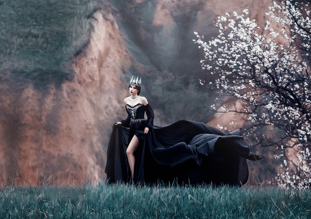 queen of night in luxurious black dress with long flying train, lady with dark makeup, metal cold jewelry and crown, mysterious priestess on grassy slope near blossoming tree, gloomy gothic imageの写真素材