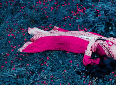 Woman princess warrior lies with a sword in her hands, after a battle with enemies. Sleeping beauty in a pink dress in oriental, arabic, turkish style. Long black hair. Background flower meadow.の写真素材
