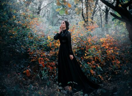 Beauty Gothic princess walks in autumn forest. Fantasy mystical dark backdrop. Autumn foggy nature, yellow trees, cold light. Glamorous long black fashion dress. Elegant bundled hairstyle. Goth queenの写真素材