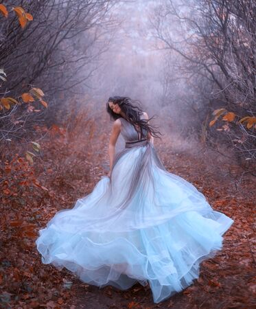 Beautiful fantasy woman spinning in dance. Luxury style art lush blue dress. Black long hair flying flutters in motion wind. Princess walks autumn forest. Backdrop fog bare trees fallen orange leavesの写真素材
