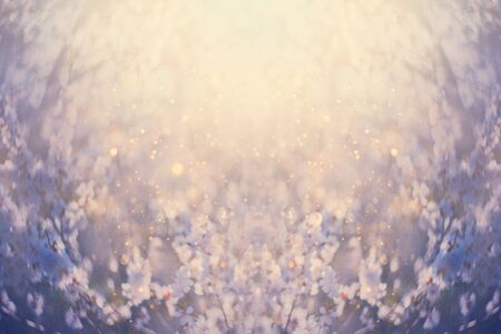Spring blossom background. Beautiful garden nature scene blooming flowering tree art sun flare....