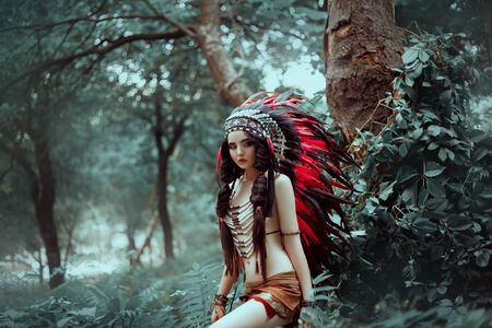 art native american style. Portrait girl beautiful face creative makeup. Indian woman fashion model posing. traditional dress ethnic costume plume roach feathers accessories head. nature rainforestの写真素材