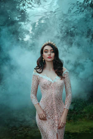 portrait beautiful charming woman Queen. Pink evening luxury long lace sexy dress. Girl princess brunette loose hair. Tiara, golden crown sparkles gem rhinestones. haze fog, dark silhouettes treesの写真素材