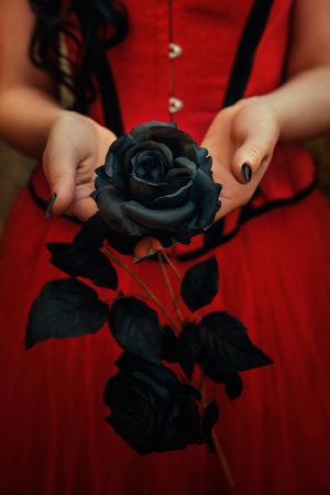 Art photo real person woman holding black rose flower in hand dark petals, gothic red corset scarlet dress old style. Fantasy girl princess Sharp claws manicure nail polish. Vampire costume clothesの写真素材