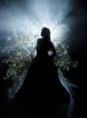 shadow dark silhouette fantasy queen woman sitting on throne spring flowering nature divine moon light ray black night garden glow, fog tree branch flowers. Mystery sexy Gothic Girl magic smoke mist.の写真素材