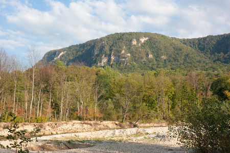 Bright autumn day on the forest river. Kurdzhips river in the Krasnodar region.の写真素材