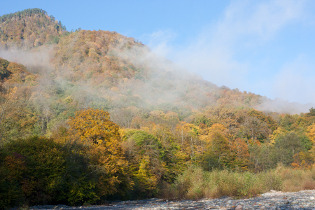 Autumn mountain landscape. Mountain river valley early in the morningの写真素材