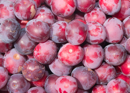 Background of ripe red plum. Juicy cherry plum close-upの写真素材