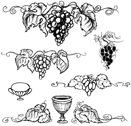 Set picture of ripe grapes, monochrome picture. Vector illustrationのイラスト素材