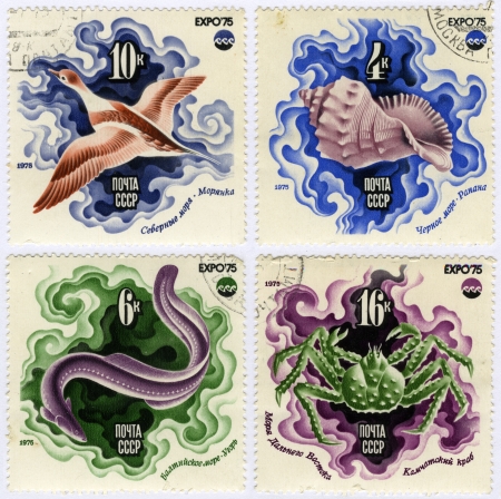 Inhabitants of the sea, postage stamp USSRの写真素材