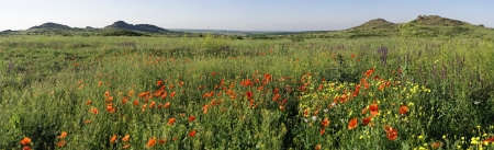 National Park   Stone Tombs    Donetsk  Ukraine  Panoramaの写真素材