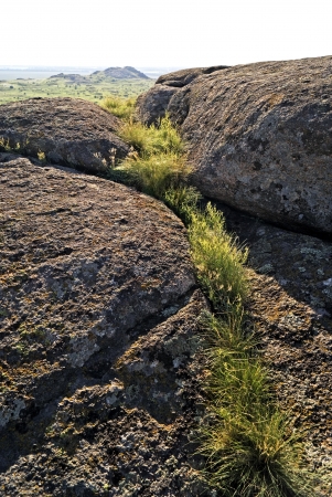Beautiful summer landscape in the mountainsの写真素材
