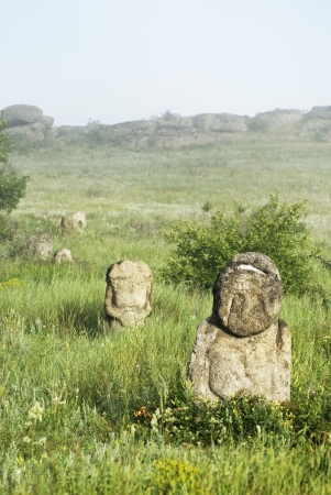 Stone idol in the steppe National Park Stone Tombsの写真素材