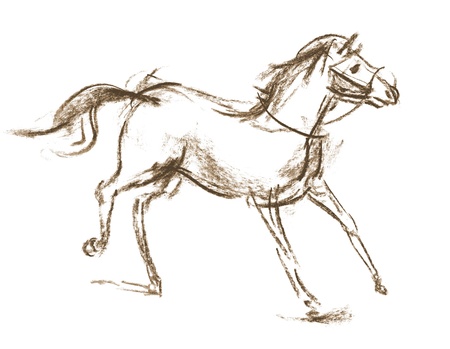 Horse, Hand-drawn, Phase of the movementの写真素材